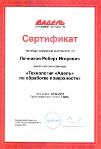 Сертификат Печников